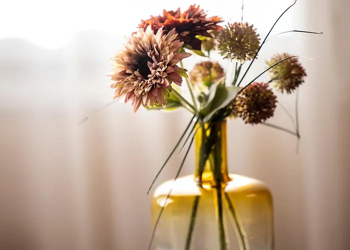 Western Cargo 4* Dunkirk