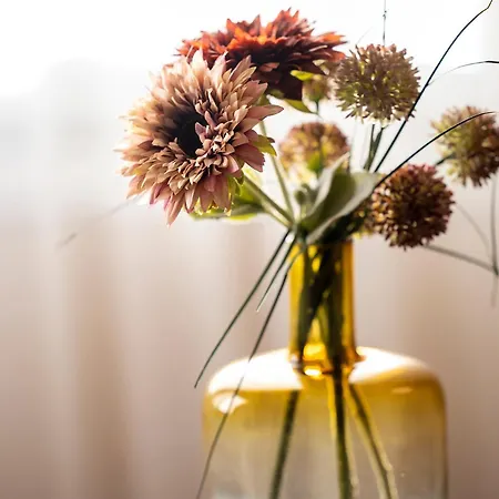 Western Cargo 4* Dunkirk